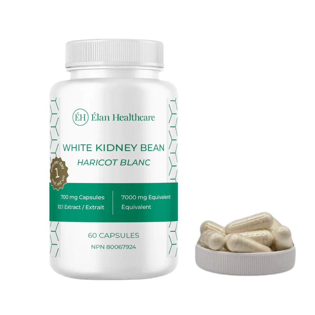 White_Kidney_Bean.png
